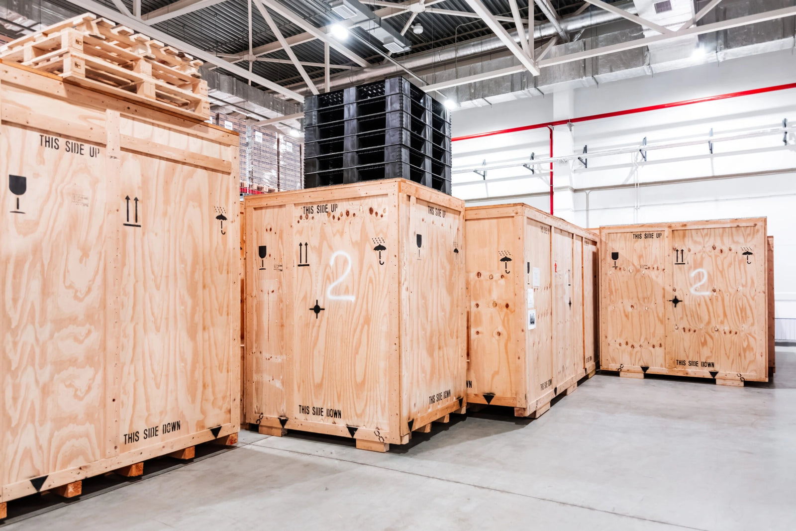 QC + Export Packing